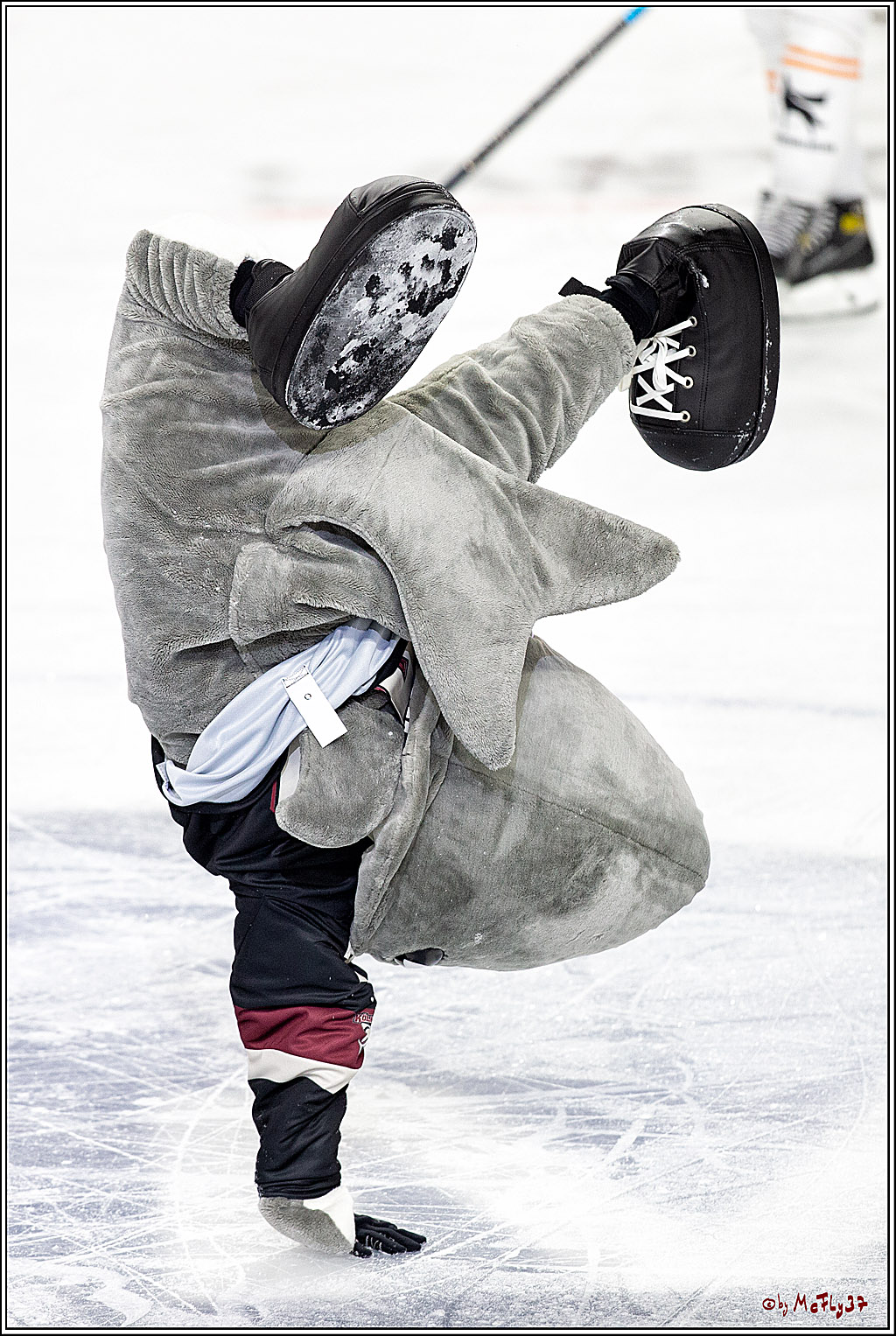 PENNY DEL;  Koelner Haie - Grizzlys Wolfsburg; Koeln, 29.01.2021